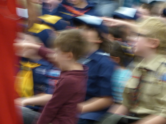 P1050325 (03-06-2016 19:42)