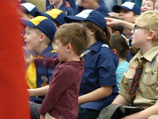 P1050326 (03-06-2016 19:42)