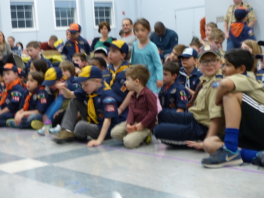 P1050332 (03-06-2016 19:44)