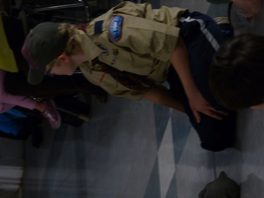 P1050386 (03-06-2016 20:05)