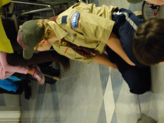 P1050387 (03-06-2016 20:05)