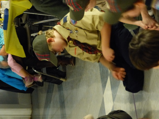 P1050402 (03-06-2016 20:08)