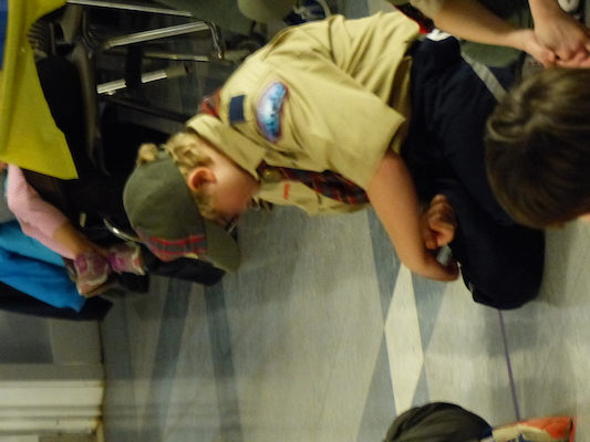 P1050403 (03-06-2016 20:08)