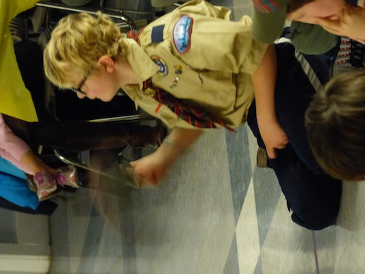 P1050405 (03-06-2016 20:09)