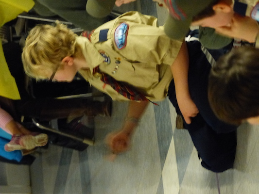 P1050406 (03-06-2016 20:09)