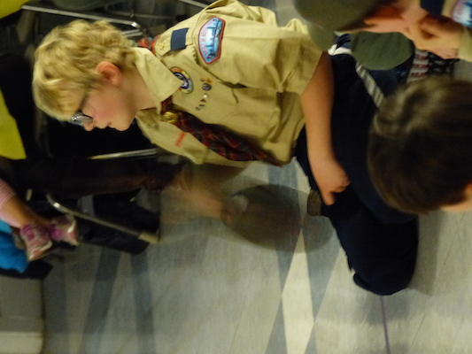 P1050407 (03-06-2016 20:09)