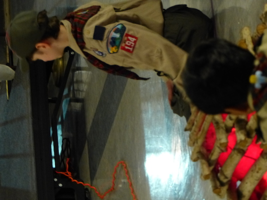 P1050408 (03-06-2016 20:11)