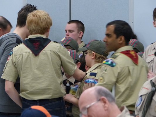 P1050459 (03-06-2016 20:52)