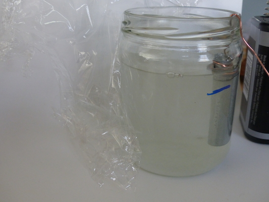 P1050586 (04-10-2016 15:29)