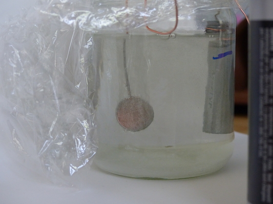 P1050588 (04-10-2016 15:31)