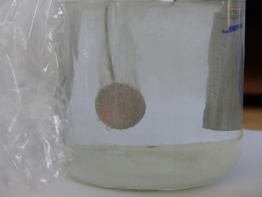 P1050589 (04-10-2016 15:31)