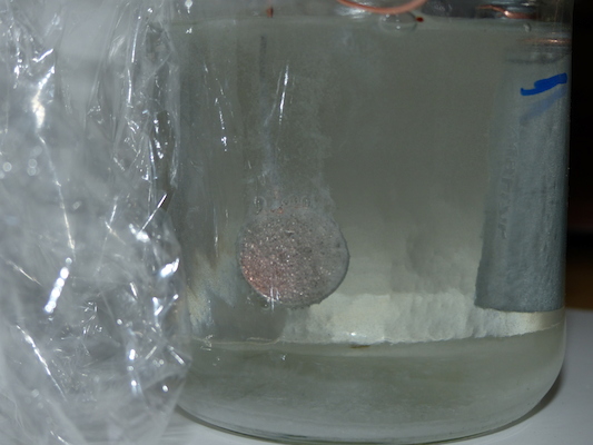 P1050590 (04-10-2016 15:31)