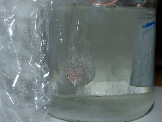 P1050591 (04-10-2016 15:31)