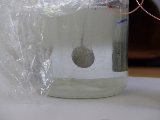 P1050592 (04-10-2016 15:35)