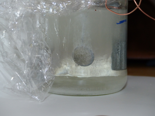 P1050593 (04-10-2016 15:35)