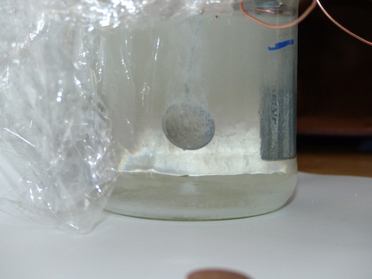 P1050594 (04-10-2016 15:35)