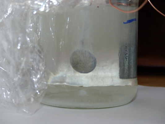 P1050595 (04-10-2016 15:35)