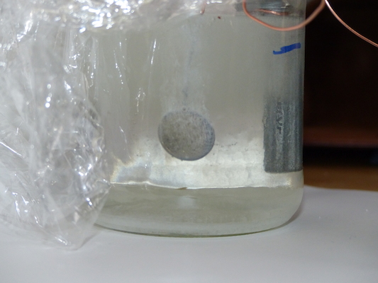 P1050596 (04-10-2016 15:35)