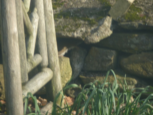 P1050638 (04-30-2016 18:10)