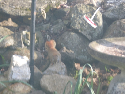 P1050639 (04-30-2016 18:10)