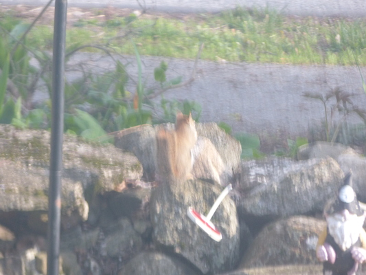 P1050640 (04-30-2016 18:10)