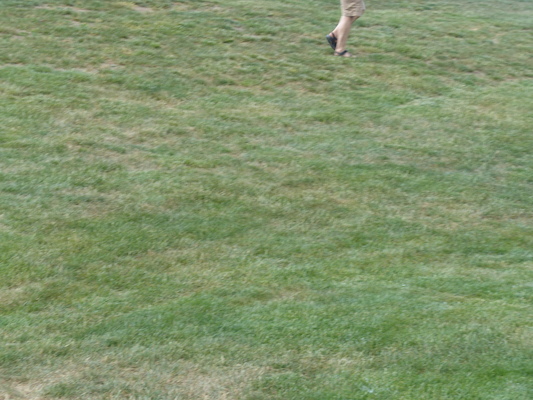 P1050722 (06-04-2016 16:29)