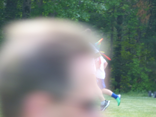 P1050738 (06-04-2016 16:36)