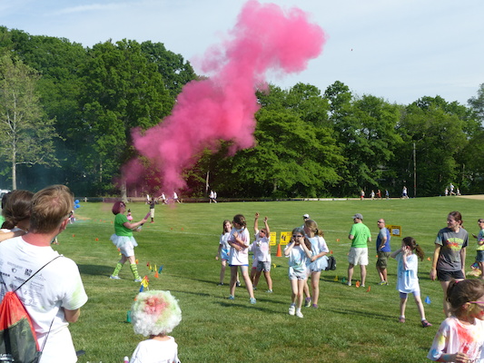 P1050757 (06-04-2016 16:50)