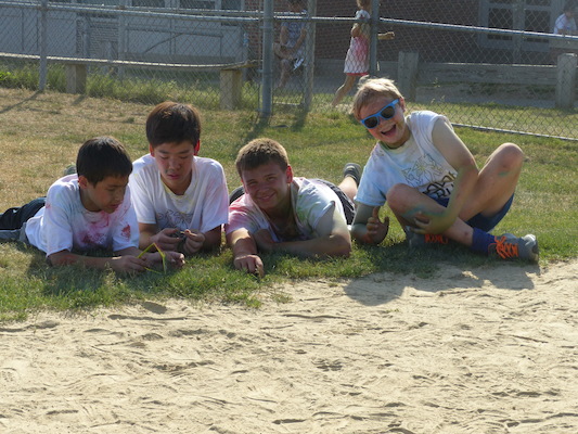 P1050778 (06-04-2016 17:25)