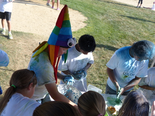 P1050784 (06-04-2016 17:26)