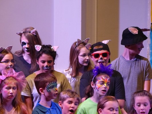 P1050897 (06-10-2016 21:18)