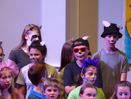 P1050898 (06-10-2016 21:18)