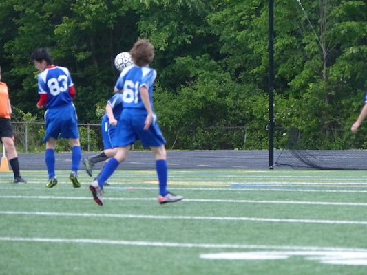 P1050927 (06-11-2016 16:03)