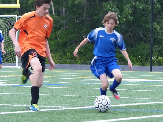 P1050928 (06-11-2016 16:03)