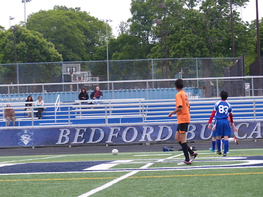 P1050934 (06-11-2016 16:07)