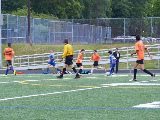 P1050935 (06-11-2016 16:07)