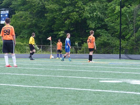 P1050937 (06-11-2016 16:12)