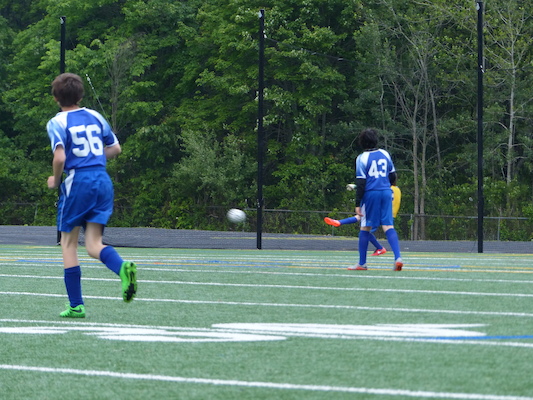 P1050939 (06-11-2016 16:12)