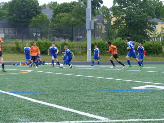 P1050940 (06-11-2016 16:13)