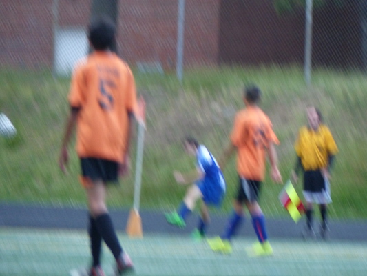 P1050942 (06-11-2016 16:14)