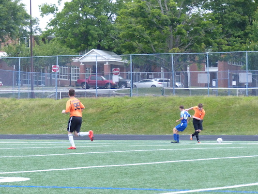 P1050945 (06-11-2016 16:27)