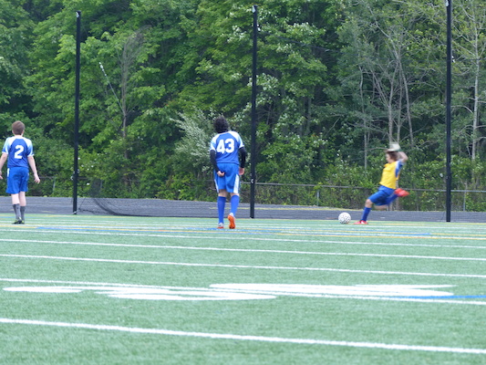 P1050947 (06-11-2016 16:30)