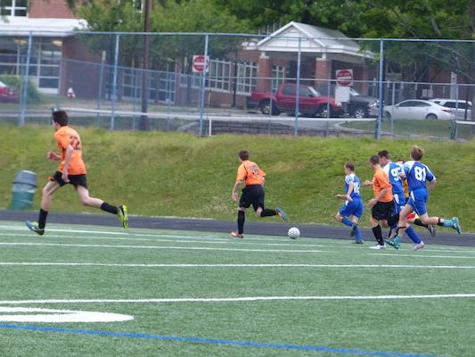 P1050949 (06-11-2016 16:30)