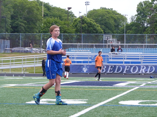 P1050951 (06-11-2016 16:31)