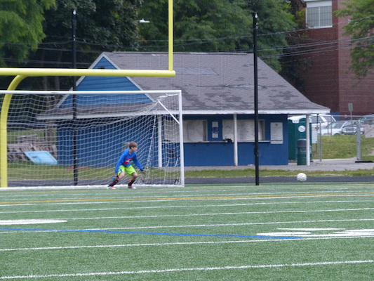 P1050955 (06-11-2016 16:35)