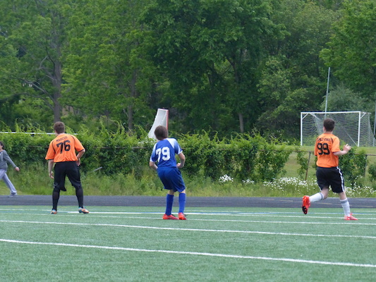 P1050956 (06-11-2016 16:49)