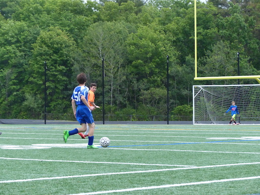 P1050957 (06-11-2016 16:54)