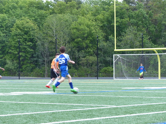 P1050958 (06-11-2016 16:54)