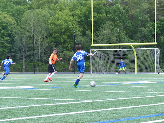 P1050959 (06-11-2016 16:54)