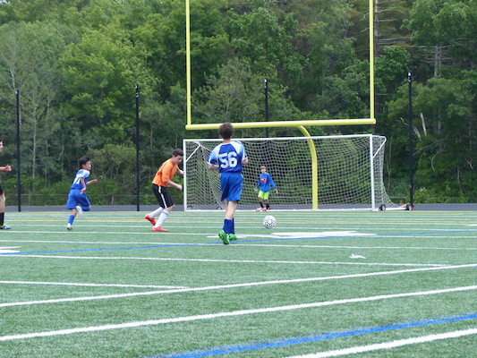 P1050960 (06-11-2016 16:54)